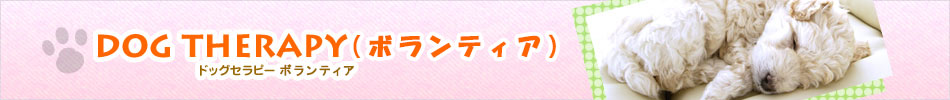�h�b�O�Z���s�[�i�{�����e�B�A�j